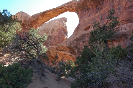 Kayaking the Colorado River with a self shuttle is a 